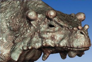 Unique Dinosaur Roamed The Desert Of Supercontinent Pangea