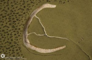 6.superhenge-c-shaped